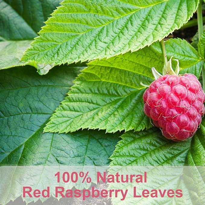 TEARELAE - Raspberry Leaf Tea - 1.5g x 60 Count - Premium Red Raspberry Leaves Tea Bags - Promote a Healthy Pregnancy, Ease Menstrual Cramp - Non-GMO - Caffeine-Free - Bloomnest