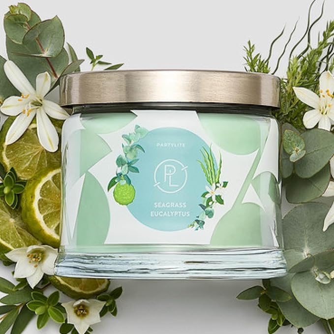 PartyLite Sea Grass Eucalyptus Scented, Notes of Eucalyptus, Lemon, Seagrass & Driftwood, 13.2oz 3-Wick Jar Candle, 45 Hour Burn Time, Luxurious Fragrance, Ideal for Gifting - Bloomnest