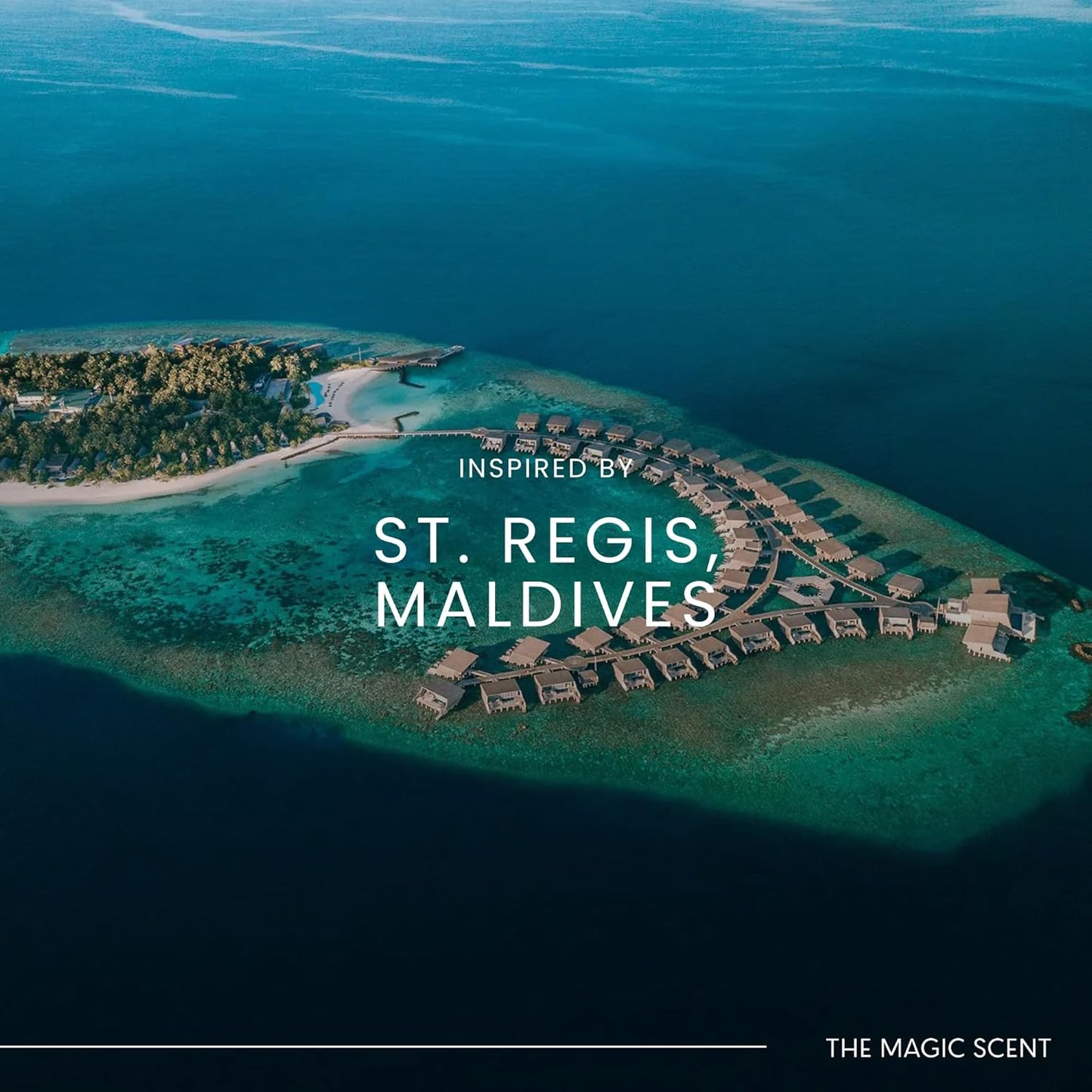 The Magic Scent Mandarin Blossom Diffuser Oil - Hotel & Home Luxury Scents Inspired by St. Regis Hotel, Maldives - Diffuser Oil Scents for Home Designed for Use in All Diffusers - 4 fl oz, 120 mL