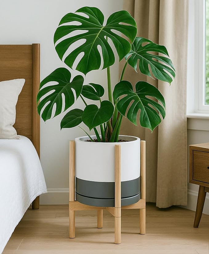 D'vine Dev Ceramic Planter with Natural Stand - 12 Inch Modern Round Flower Pot with Wood Planter Holder, White/Grey, 55-B-J-6 - Bloomnest