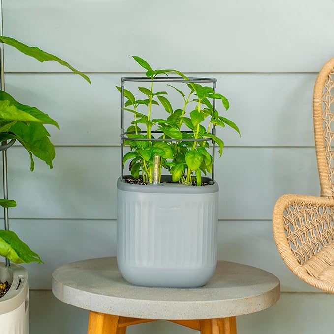 Vego garden Mini Planter Indoor Pots with Trellis Self-Watering Herb Countertop Planter for Climbing Vegetables Flowers Mint Plants Cage- Fog Gray - Bloomnest