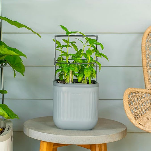 Vego garden Mini Planter Indoor Pots with Trellis Self-Watering Herb Countertop Planter for Climbing Vegetables Flowers Mint Plants Cage- Fog Gray - Bloomnest