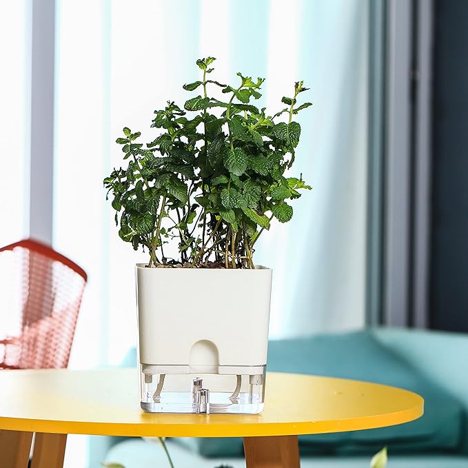 Planterhoma Self Watering Plant Pots for Indoor Plants 4.3 inch, 6 Packs Square Self-Watering Planters with Drainage Hole, White African Violet Pots for Devil's Ivy, Spider Plant, Orchid, Herb - Bloomnest