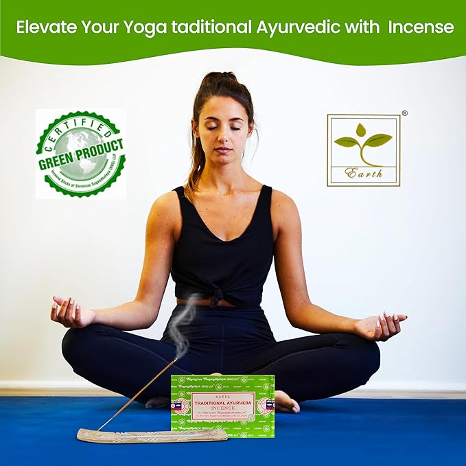 Raajsee Satya Traditional Ayurveda Incense Sticks, Nagchampa 15gmx12 Pack (12 Sets of 15g, 160 Pieces Total) with Raajsee Incense Holder - Bloomnest