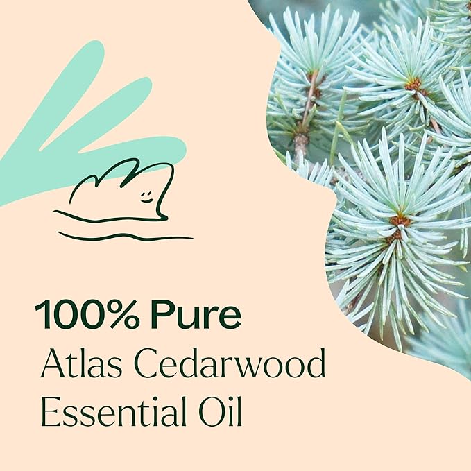 Plant Therapy Organic Atlas Cedarwood Essential Oil 100% Pure, USDA Certified Organic, Undiluted, Natural Aromatherapy for Diffusion, Skin, and Hair, Therapeutic Grade 10 mL (1/3 oz) PlantTherapy