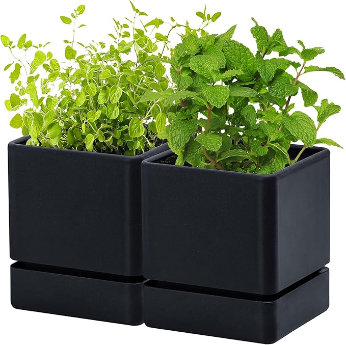4 Inch Herb Planter Pot, Plastic Planter with Drainage Holes and Saucer, Modern Decorative Gardening Pot for Indoor Plants, Flowers, Herbs, Succulents, Black, Set of 2, 76-Y-B-2 - Bloomnest