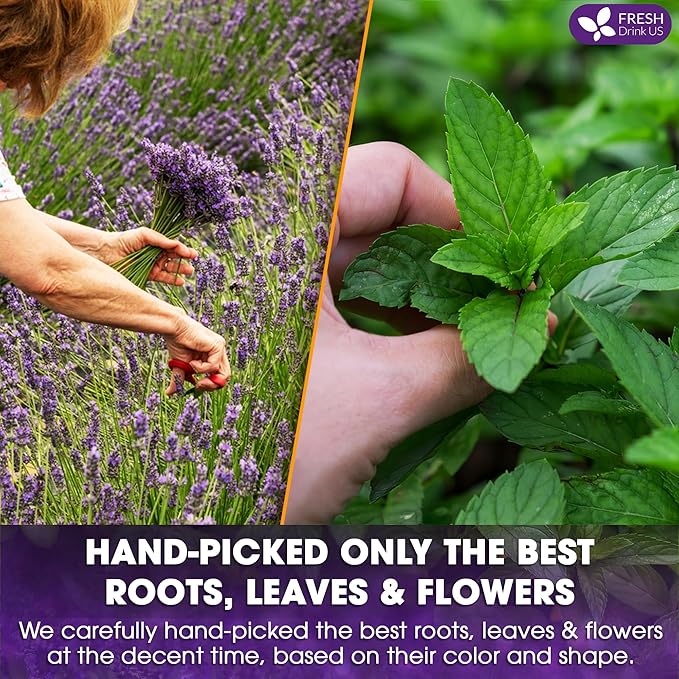 FreshDrinkUS, Premium 55 Tea Bags Lavender Mint Tea, 100% Natural, Blend of Lavender, Peppermint, Sage and Licorice. Made with Natural Material Tea Bags. No Sugar, No Caffeine, Vegan. - Bloomnest