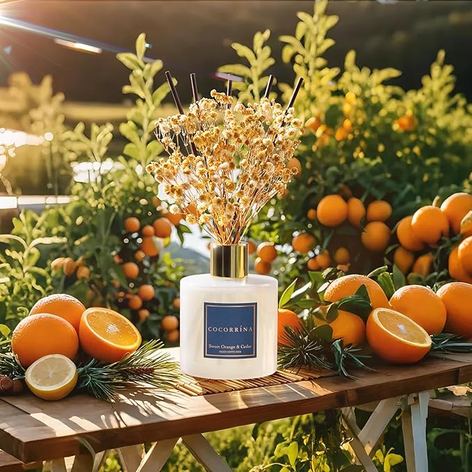 COCORRÍNA Reed Diffuser - Sweet Orange & Cedar 6.7 Fl.oz Reed Diffuser Set with Sticks & Preserved Baby's Breath, Reed Diffuser for Home Bathroom Shelf Decor - Bloomnest