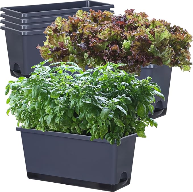 Window Box Planter 6 Pcs, 17 Inches Rectangle Flower Pots with Drainage Holes and Trays, Vegetable Planters for Windowsill Patio Garden Balcony Home Porch Yard Indoor Outdoor (Grey, 17*7.4*7.8 inch) - Bloomnest