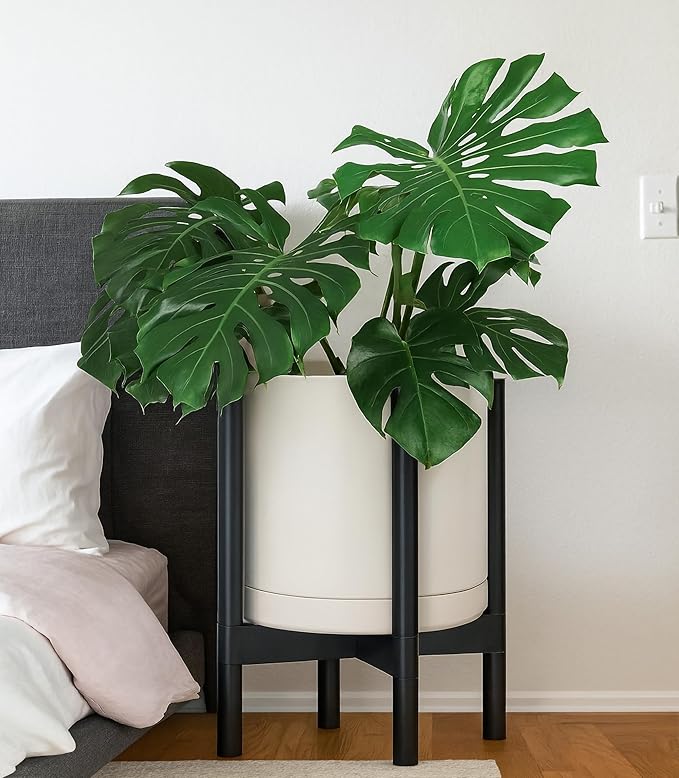 D'vine Dev Ceramic Planter with Ebony Stand - 12 Inch Modern Round Flower Pot with Wood Planter Holder, Oatmeal, 55-B-H-8 - Bloomnest