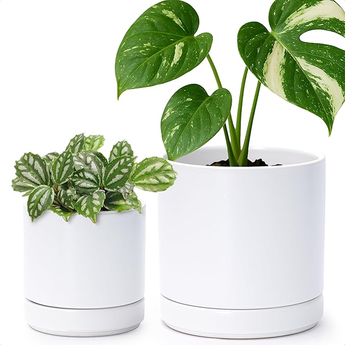 D'vine Dev 4.7 Inch & 6.5 Inch Ceramic Planter Pots for Plants with Drainage Hole and Saucer, Small Plant Pots Set, White, 94-G-S-1 - Bloomnest