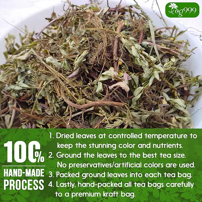 TOG999, Premium 120 Chanca Piedra Leaf Tea Bags, 100% Natural & Pure from Chanca Piedra Leaves. Loose Leaf Chanca Piedra Herbal Tea. Made with Natural Material Tea Bags. No Sugar, No Caffeine, No Gluten, Vegan. - Bloomnest