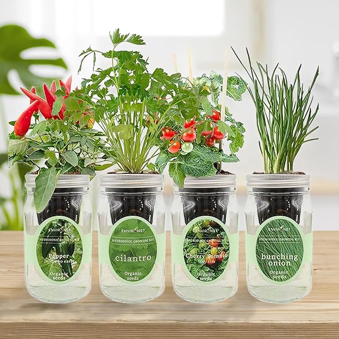 Hydroponic Mason Jar Indoor Garden Organic Seed Starter Kits - Taste of Asia Garden Growing Kits, Gardening Gift (Sweet Nardello Pepper, Mint, Thai Basil, Cilantro) - Bloomnest