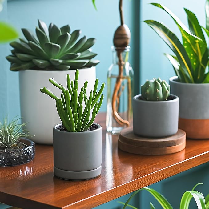 D'vine Dev 3.5 Inch & 4.7 Inch Ceramic Planter Pots for Plants with Drainage Hole and Saucer, X-Small Plant Pots Set, Speckled Grey, 94-G-XS-3 - Bloomnest