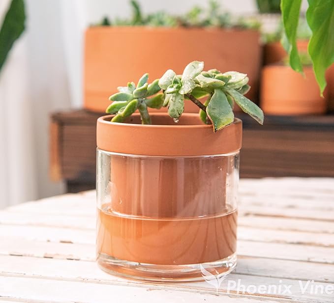 Phoenix Vine 4 Inch Self Watering Planter Pot, Terracotta Clay Pot with Glass Reservoir for Indoor Plants, Herbs, Flowers, Set of 2, 52-A-E-2 - Bloomnest