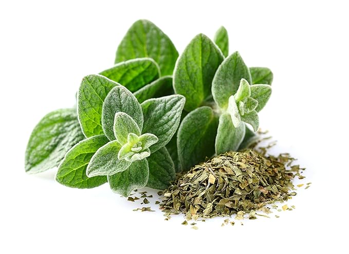 US Organic 100% Pure Oregano Essential Oil - USDA Certified Organic, Steam Distilled (30 ml) - Bloomnest
