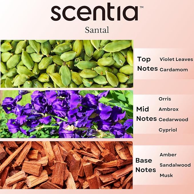 Santal Diffuser Oil – Premium 20ml Santal-Inspired Blend – Sandalwood, Amber, Musk, Cedar, Cardamom – Luxury Fragrance Oil for Ultrasonic & Waterless Diffusers – Made in USA Scentia