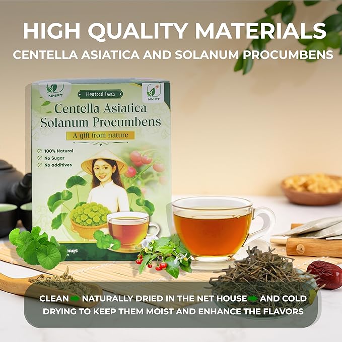 NMPT Dried Centella Asiatica Solanum Procumbens Tea, Handpicked and Handmade, 40 Sachets, Cold-Dried, Gluten-Free, No Added Sugar, Mild Sweet Flavor, Supports Overall Health - Bloomnest