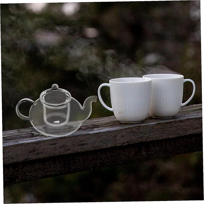 Transparent Glass Teapot Small Heat-resistant Borosilicate Tea Kettle with Lid Fine Mesh Strainer for Loose Leaf Tea Household Teapot for Green Enjoyment - Bloomnest
