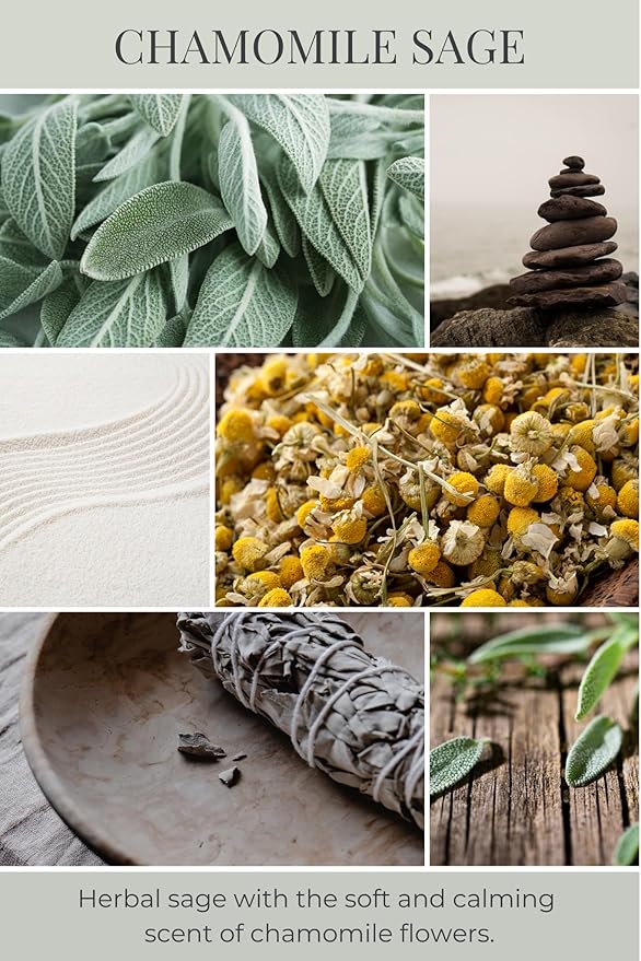 ECO CANDLE CO. Tea Light Candles, Chamomile Sage, 10-Pack - Scents of Sage & Chamomile - Recyclable, 100% Soy Wax, No Lead, Hand Poured, Phthalate Free, Made from Midwest Grown Soybeans, .6 oz. Each - Bloomnest