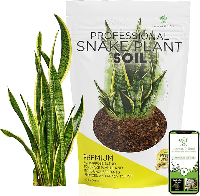 Professional Snake Plant Soil | Large 2.2 Quarts Ready to Use for Snake Plants | Peat Moss, Coco Coir, Perlite, Dolomite | Made in USA - Bloomnest