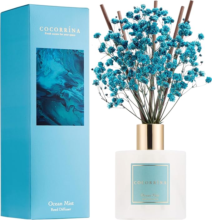 COCORRÍNA Reed Diffuser - Ocean Mist 6.7 Fl.oz Reed Diffuser Set with Sticks & Preserved Baby's Breath, Reed Diffuser for Home Bathroom Shelf Decor - Bloomnest