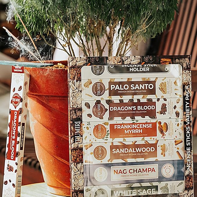 Classic Incense Sticks - Total 120 Insence-Sticks (20 Insense x 6 Inscents) - Inciensos Aromaticos Para La Casa Incents with Nag Champa Sage Palo Santo Frankincense Sandalwood Inscents-Sticks + Holder - Bloomnest