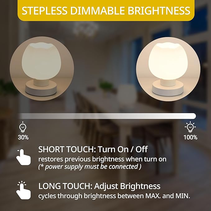 Touch Bedside Lamp, Mini Stepless Dimmable Table Lamps for Bedroom for Night Stands, Small Desk Lamp with Brightness Memory, USB Charging Ports, Warm LED Bulb, White, Flower Shape, 1 Set - Bloomnest