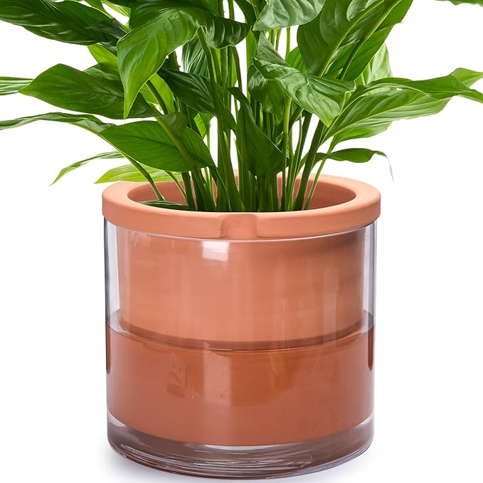 Phoenix Vine 10 Inch Self Watering Planter, White Terracotta Pot for Plants, Indoor Cylinder Terra Cotta Pot with Glass Vase - Bloomnest