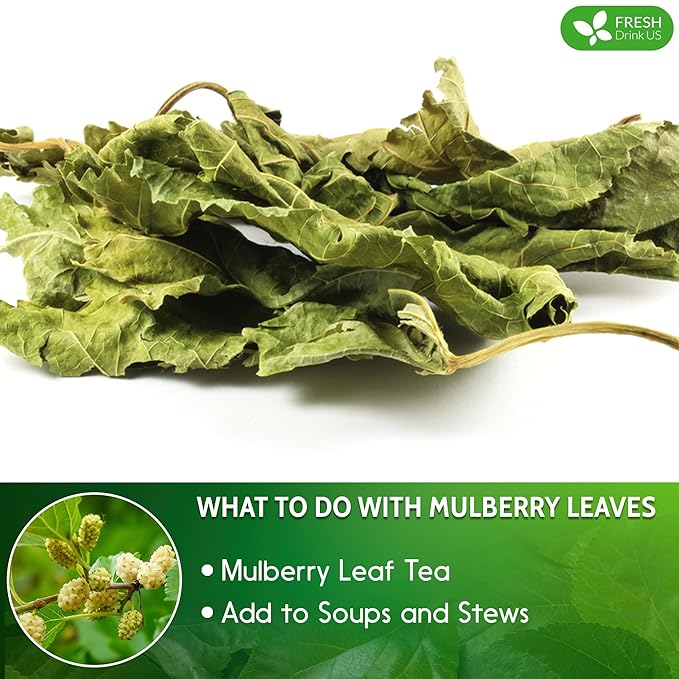 FreshDrinkUS, Permium 2oz Mulberry Leaves, 100% Natural & Pure from Mulberry Leaves, Mulberry Leaf Tea, Mulberry Loose Leaf Herbal Tea, No Additives, No Caffeine, Vegan - Bloomnest
