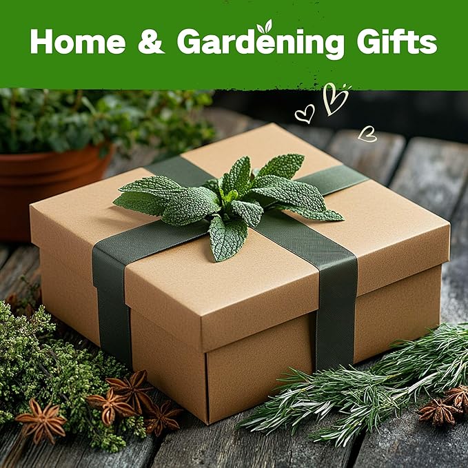Lush&Dew Culinary Herbs Kitchen Garden Heirloom Seed Bank, Gardening Gifts, 16 Varieties Non-GMO Seeds for Planting Herb in Raised Garden Beds Windowsill, Survival Seed Kit, Cooking Spices Basil Dill - Bloomnest
