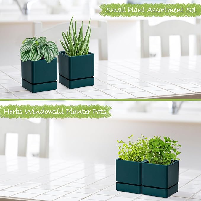 4 Inch Herb Planter Pot, Plastic Planter with Drainage Holes and Saucer, Modern Decorative Gardening Pot for Indoor Plants, Flowers, Herbs, Succulents, Green, Set of 2, 76-Y-C-2 - Bloomnest