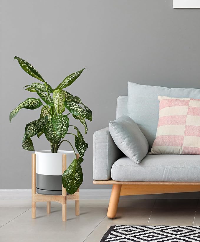 D'vine Dev Ceramic Planter with Natural Stand - 10 Inch Modern Round Flower Pot with Wood Planter Holder, White/Grey, 55-B-K-6 - Bloomnest