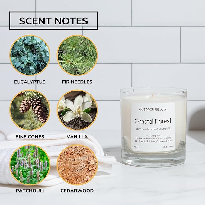 Outdoor Fellow Coastal Forest Scented Candle, 8oz, Coconut & Apricot Wax Blend, Pine, Eucalyptus, Cedarwood, Reusable Glass, 40-50 Hour Burn Time - Bloomnest