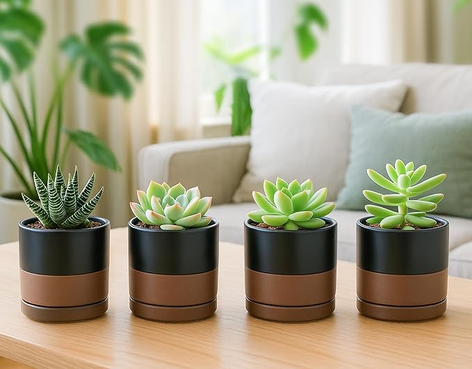 D'vine Dev Set of 4 Small Ceramic Plant Pots, 3.5 Inch Succulent Planter Pot for Plants with Drainage Hole and Saucer, Black/Speckled Tan, 94-X-A-7 - Bloomnest