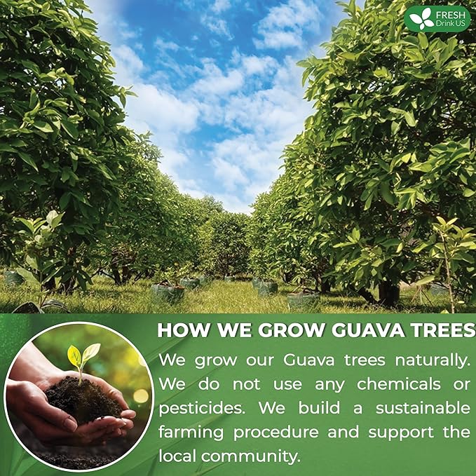 FreshDrinkUS, Premium 50+ Natural Guava Leaves, Whole Dried Leaves, 100% Pure, Natural Guava Loose Leaf Herbal Tea, Non GMO, No Additives, No Caffeine, Vegan - Bloomnest