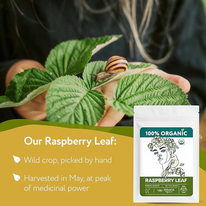 Organic Raspberry Leaf Tea Bags (40 TeaBags) - Red Rasberry Leaf Tea for Womens Cramps, Hormone Balance, Fertility – Te de Hoja de Frambuesa Roja - Bloomnest