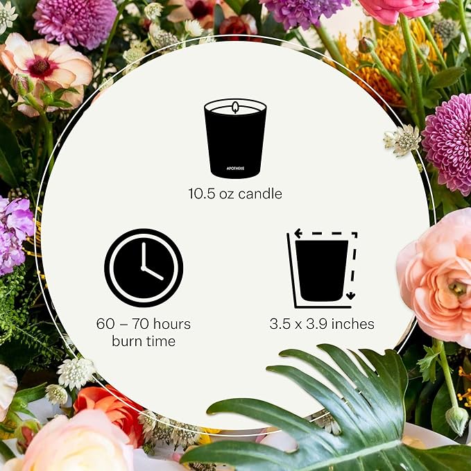 Apotheke Signature Candle Scented Candles for Home, Cardamom Chestnut - 10.5 oz Seasonal Soy Wax Jar Candle - Long-Lasting Fall Scented Fragrance with Perfume-Grade Essential Oils - Bloomnest