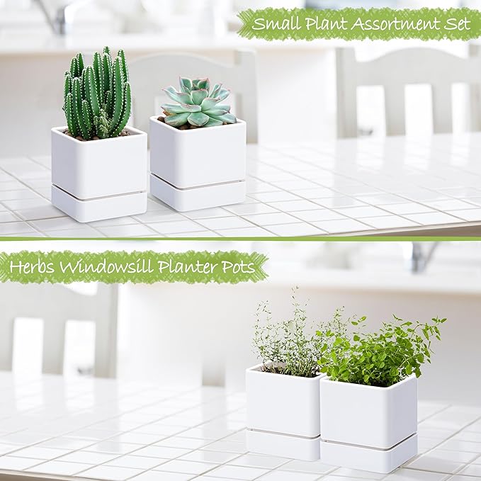 4 Inch Herb Planter Pot, Plastic Planter with Drainage Holes and Saucer, Modern Decorative Gardening Pot for Indoor Plants, Flowers, Herbs, Succulents, White, Set of 2, 76-Y-A-2 - Bloomnest