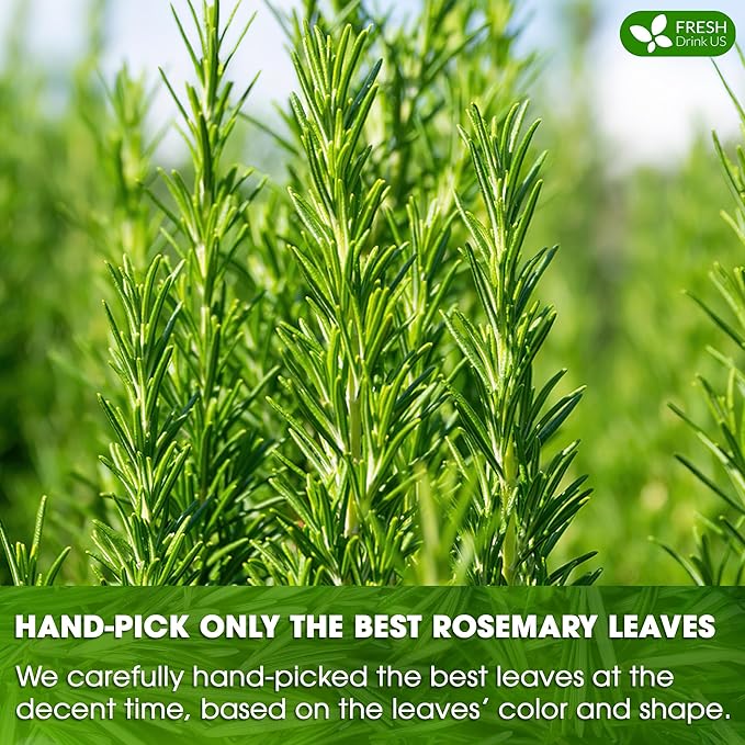 FreshDrinkUS, Premium 100 Rosemary Leaf Tea Bags, Made with 100% Natural Rosemary Dried Leaves, Pure Rosemary Herbal Tea, No Additives, No Caffeine, No Gluten, Vegan. - Bloomnest