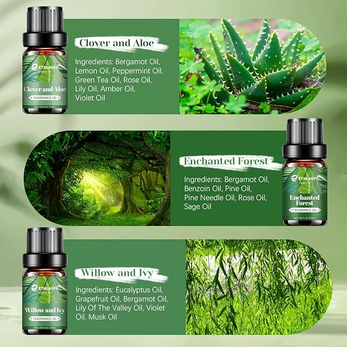 Fragrance Oils Set, Essential Oils for Diffuser for Home, Candle Sopa Making - Enchanted Forest, Willow and Ivy, Clover and Aloe, Fresh Bamboo, Scented Oil Gift Set - Bloomnest