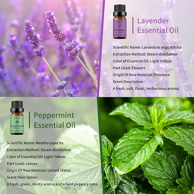 yethious Lavender Peppermint Oil Set Lavender Aromatherapy Oils for Diffuser, Perfume, Soap, Candle Making 2 Pack 10ML - Bloomnest