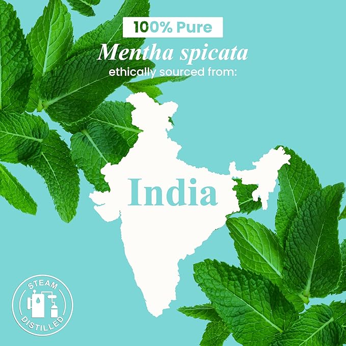 Handcraft Blends Organic Spearmint Essential Oil – 1 Fl Oz – 100% Pure and Natural – Premium Grade Essential Oil for Diffuser and Aromatherapy HandcraftBlends