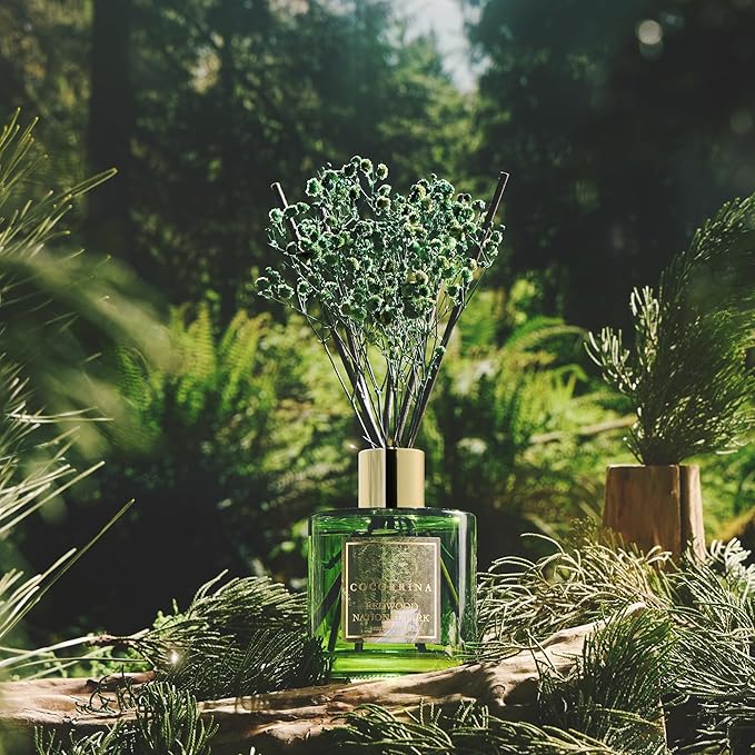 COCORRÍNA Reed Diffuser - Redwood National Park 6.7 Fl.oz Reed Diffuser Set with 8 Sticks & Preserved Baby's Breath, Reed Diffuser for Home Bathroom Shelf Decor - Bloomnest