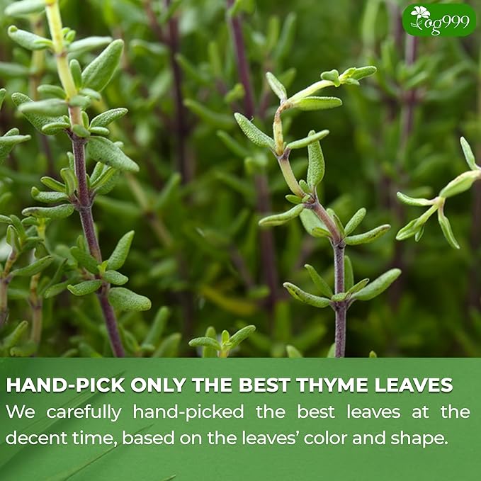 TOG999, Premium 40 Thyme Leaf Tea Bags, 100% Natural & Pure Thyme Leaves. Loose Leaf Thyme Herbal Tea. Thyme Leaf Tea. No Sugar, No Caffeine, No Gluten, Vegan. - Bloomnest