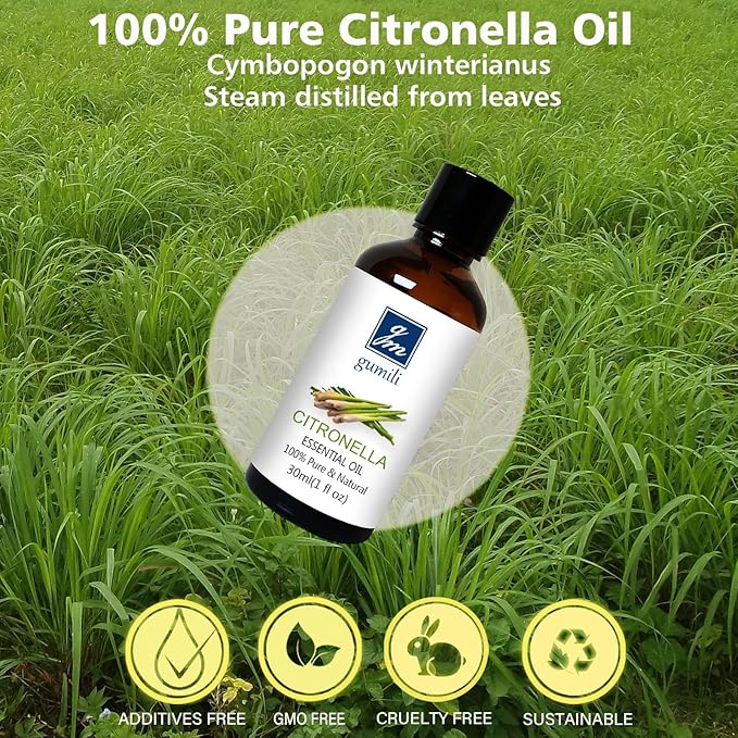 Citronella Essental Oil for Diffuser Aromatherapy - 1 Oz/30ml - Bloomnest