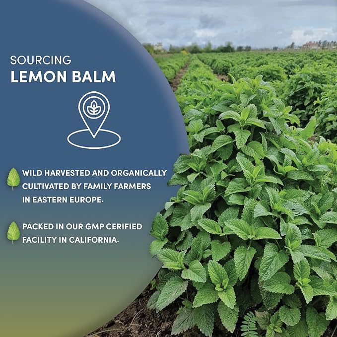 Worldwide Botanicals Organic Lemon Balm Tea, 1Lb - Loose Leaf Premium Herbal Tea | 100% Pure Lemon Balm Leaves | For Stress Relief and Good Digestion | Kosher - Bloomnest