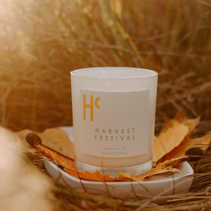 Long-Lasting Harvest Festival Fragrance - Single Wick Scented Candles - Up to 60 Hour Burn Time, Cruelty-Free Soy Candle Wax Blend - Pumpkin Fragrance, Notes of Amber & Orange (9 oz) - Bloomnest