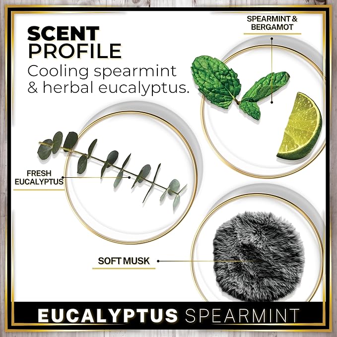 Urban Naturals Car Air Freshener Diffuser 1 Pack - Eucalyptus Spearmint Scent, 45+ Days Long Lasting Fragrance, Made in USA, Glass & Wood, Hanging Design + Vent Cip, Easy to Use - Bloomnest