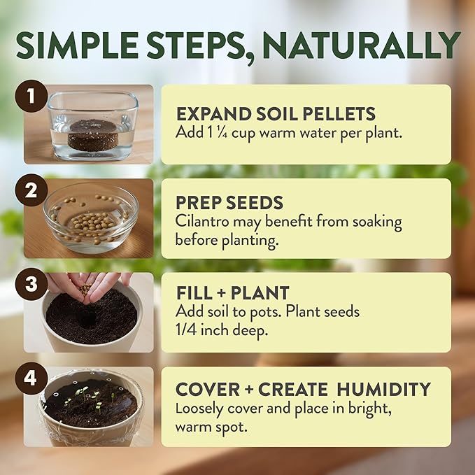 HOME GROWN Organic Herb Garden Kit – 4 Herb Seeds, Soil, Pots, Tools & Grow Guide – Grow Basil, Parsley, Cilantro & Thyme Indoors – USDA Organic, Non-GMO, Ideal Gift for Christmas & Thanksgiving